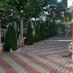 Georgiana * Τιμισοάρα