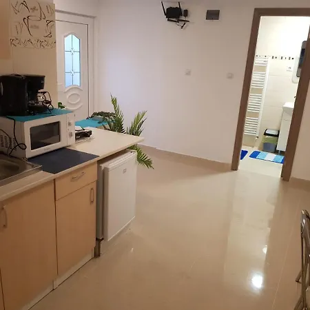 Apartmán Georgiana Temešvár