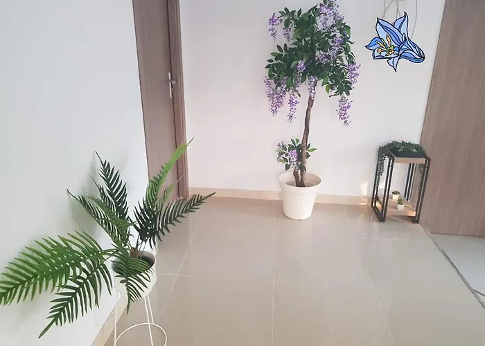 Georgiana Apartamento